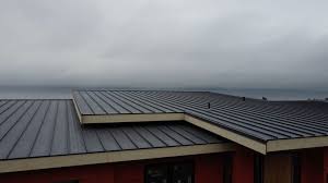 Best Sheet Metal Roofing  in Glen Rose, TX